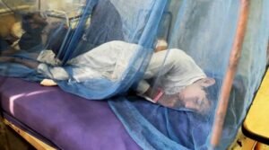 malaria-epidemic-threatens-sindh-as-cases-soar-to-over-16-000-1728987646-7701